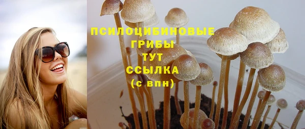 МДПВ Беломорск