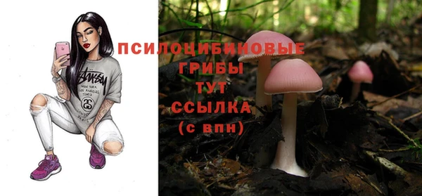 ГАЛЛЮЦИНОГЕННЫЕ ГРИБЫ Белоозёрский