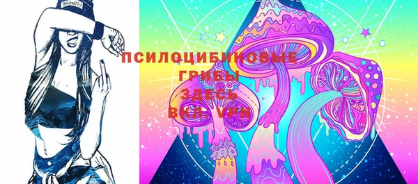 ГАЛЛЮЦИНОГЕННЫЕ ГРИБЫ Белоозёрский