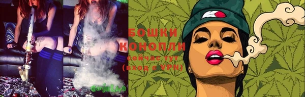 ГАЛЛЮЦИНОГЕННЫЕ ГРИБЫ Белоозёрский